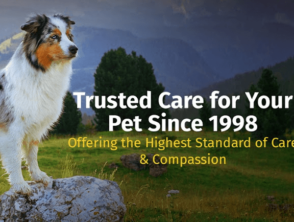 Payson Pet Care