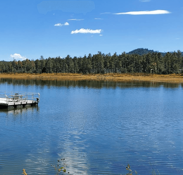 Woodland Lake Park